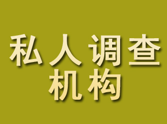 宁河私人调查机构